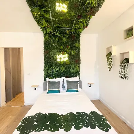 Апартаменти Jungle - Atypique - Spacieux - Wifi - Tv 4k - Vue Sur - Confort