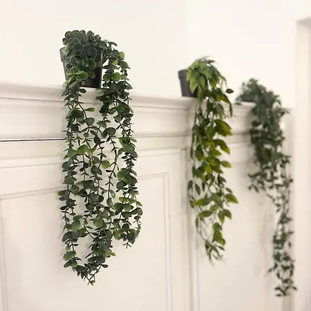 Jungle - Atypique - Spacieux - Wifi - Tv 4k - Vue Sur - Confort * Руан