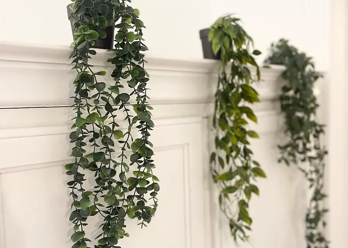 Jungle - Atypique - Spacieux - Wifi - Tv 4k - Vue Sur - Confort * Rouen